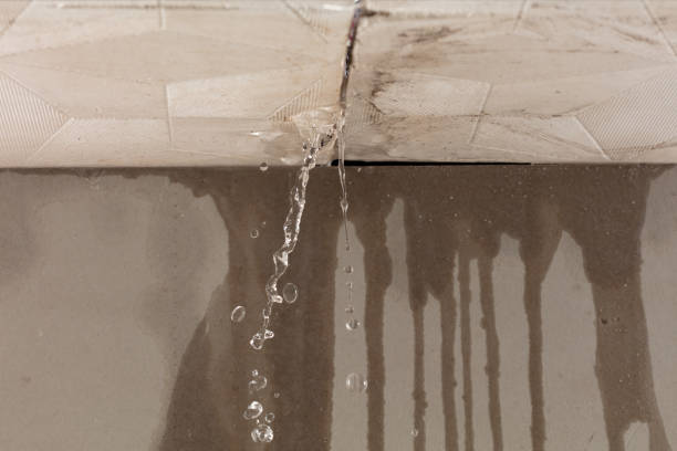 Professional Structural Drying technician working in Osceola, IN